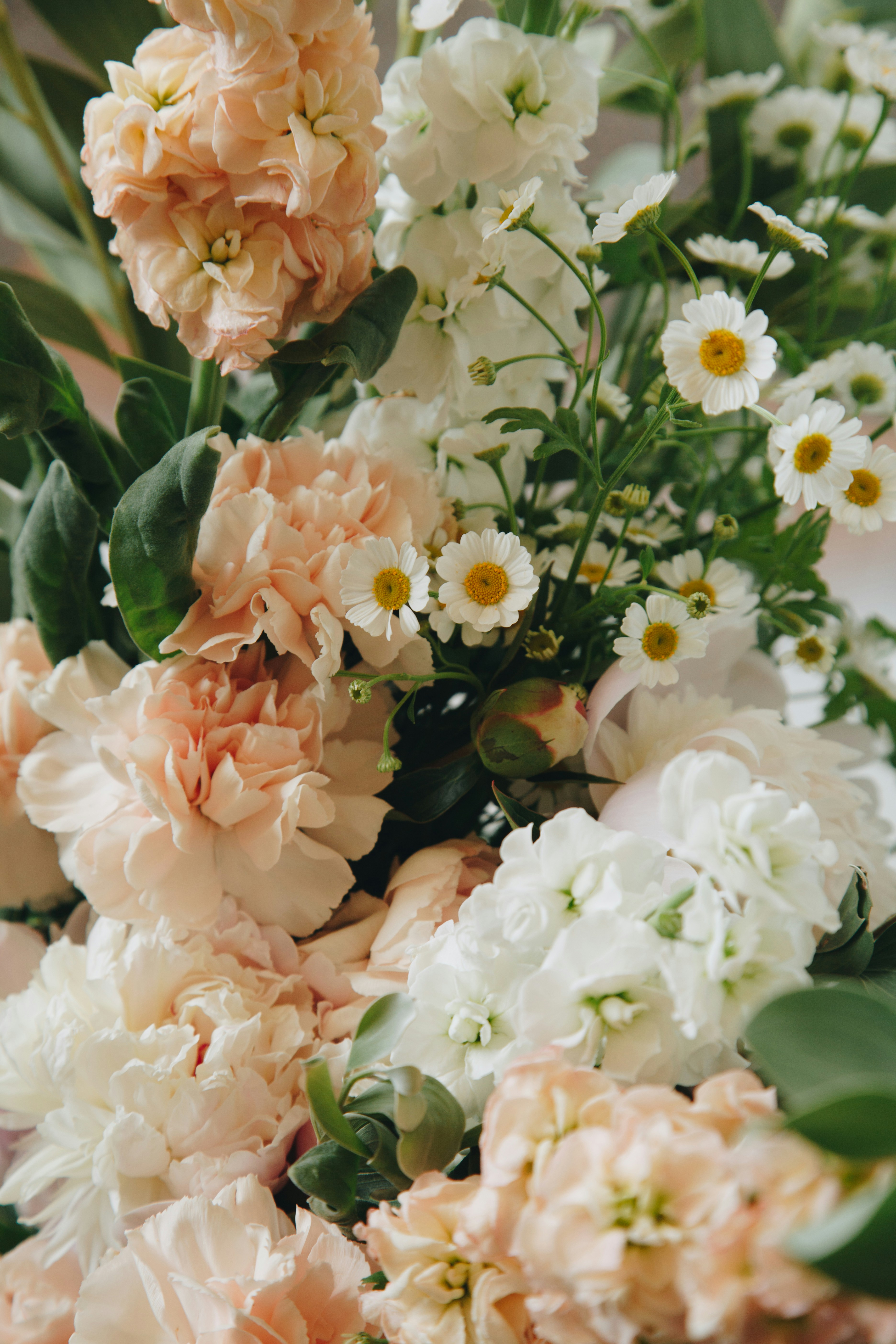 Elegant wrist corsage with blush and cream flowers for a South African wedding or matric dance